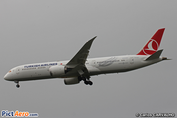 Boeing 787-9 Dreamliner (Turkish Airlines)