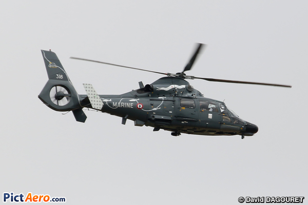 Eurocopter AS-365N-1 Dauphin 2 (France - Navy)