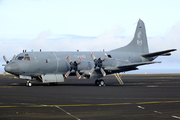 Lockheed cp-140 aurora