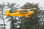 Piper PA-18-90 Super Cub (HB-PRS)