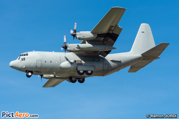 Lockheed C-130H Hercules (L-382) (United Arab Emirates - Air Force)