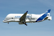 Airbus A330-743L Beluga XL (F-GXLI)