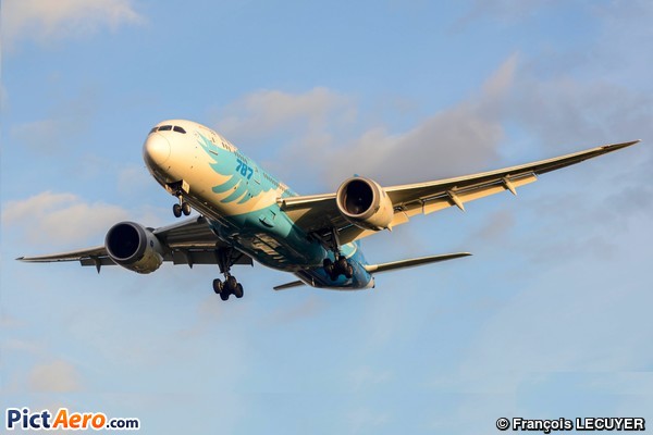 Boeing 787-8 Dreamliner (China Southern Airlines)