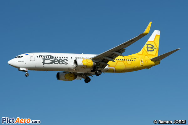 Boeing 737-8HX/WL (Bees Airline)
