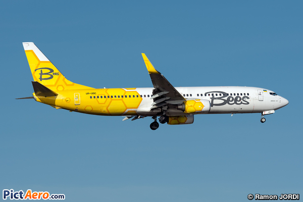 Boeing 737-8HX/WL (Bees Airline)