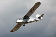 Taylorcraft G-100