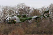 Westland SA-341B Gazelle AH1 (ZB665)