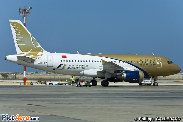 Airbus A319-112 (Gulf Air)