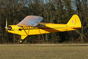 Wag-Aero J-3 Sport Trainer