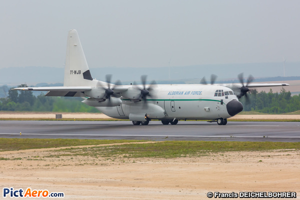 C-130J-30 Hercules (L382) (Algeria - Air Force)