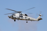 Sikorsky MH-60R Seahawk (N-979)