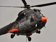 Eurocopter AS.332C1 Super Puma (HB-ZKN)