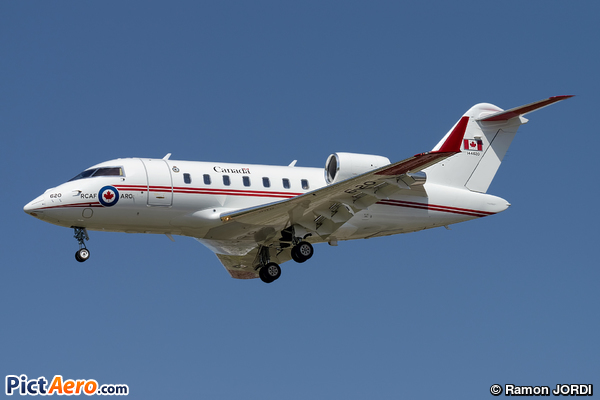 Bombardier CC-144D Challenger (Canada - Air Force)