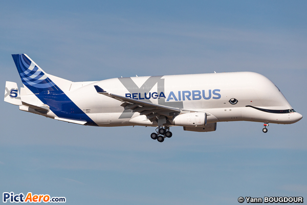 Airbus A330-743L Beluga XL (Airbus Transport International)