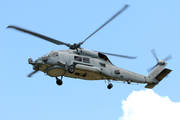 Sikorsky MH-60R Seahawk (N-979)