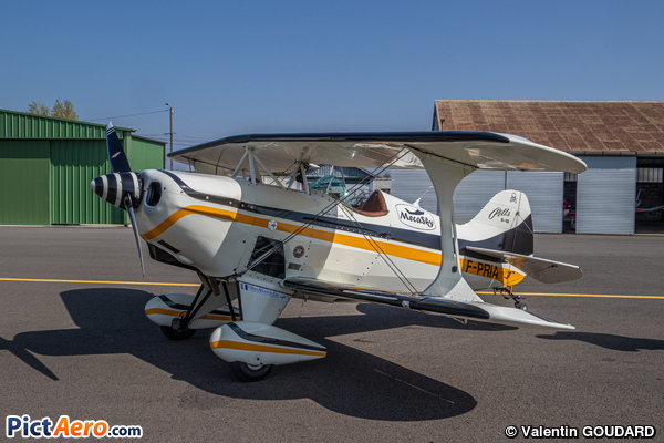 Pitts S-1D (Private / Privé)