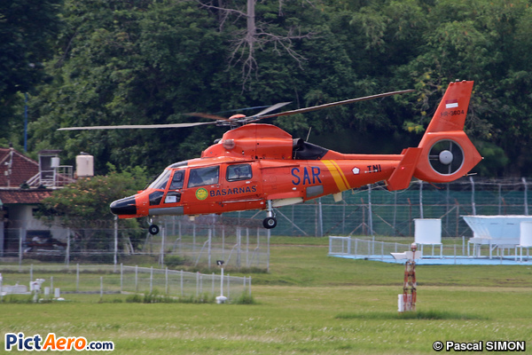 Eurocopter AS-365N-3 Dauphin 2 (Indonesia - National Search and Rescue Agency (Basarnas))