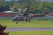 Eurocopter AS-332L-1 Super Puma