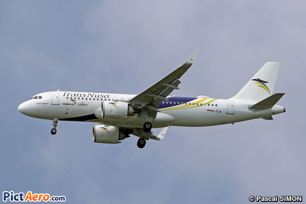 Airbus A320-251N (TransNusa Air Services)