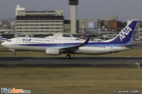 Boeing 737-881/WL (All Nippon Airways)