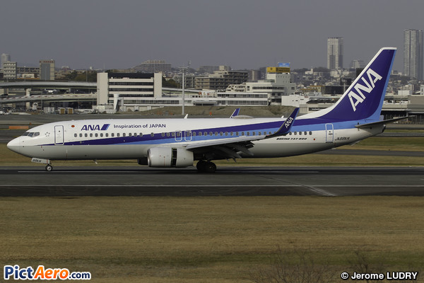 Boeing 737-8AL/WL (All Nippon Airways)