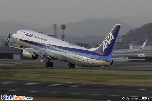 Boeing 737-8AL/WL (All Nippon Airways)