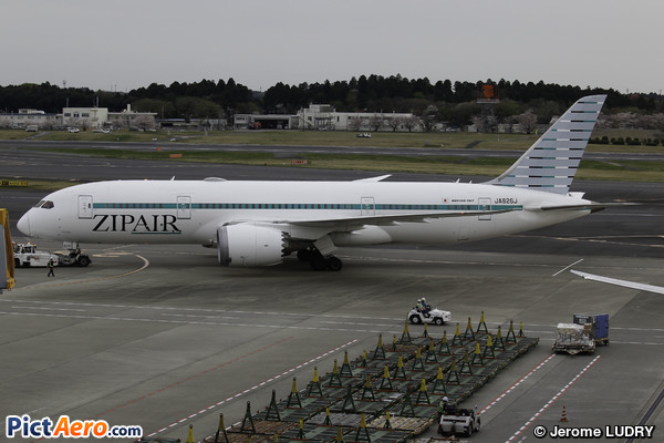 Boeing 787-8 Dreamliner (ZIPAIR Tokyo)
