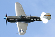 Curtiss P-40-N-5-CU Kittyhawk - F-AZKU