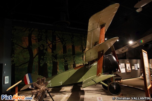 Sopwith Triplane (Museum of Flight de Seattle)