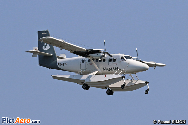 De Havilland Canada DHC-6-400 Twin Otter (Travira Air)
