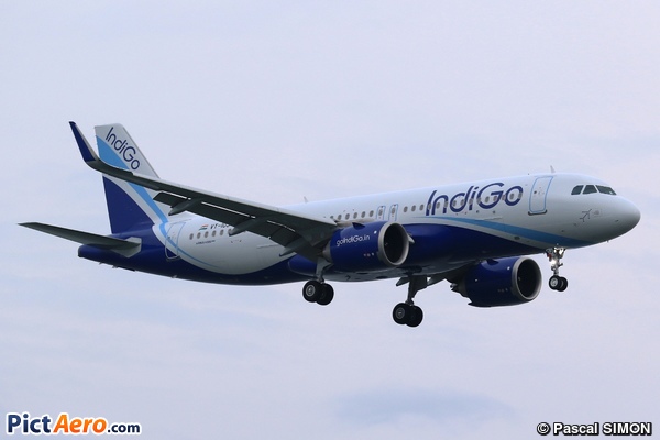 Airbus A320-251N (IndiGo)