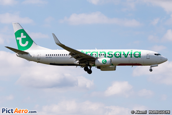 Boeing 737-8K2 (Transavia Airlines)