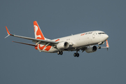 Boeing 737-85F(SF) (C-FTUZ) Boeing 737-85F(SF) (C-FTUZ)