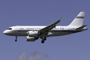 Airbus A319-153N(CJ) (VP-CVJ)