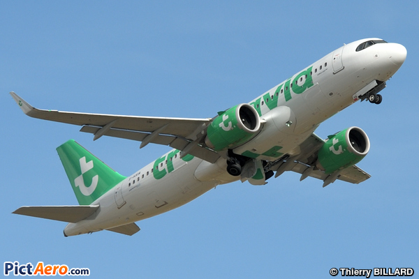 Airbus A320-252N (Transavia France)