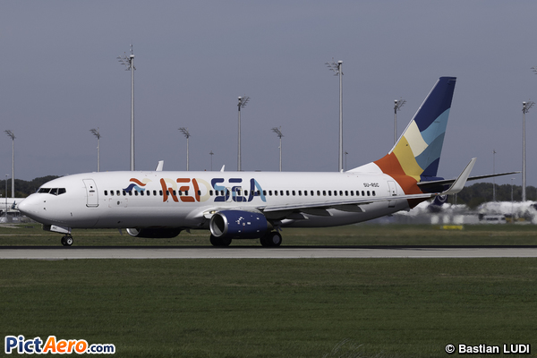 Boeing 737-81B (Red Sea Airlines) Boeing 737-81B (Red Sea Airlines)