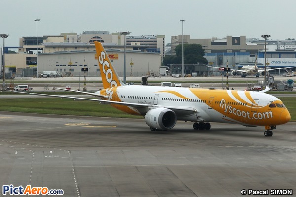 Boeing 787-9 Dreamliner (Scoot Airways) Boeing 787-9 Dreamliner (Scoot Airways)