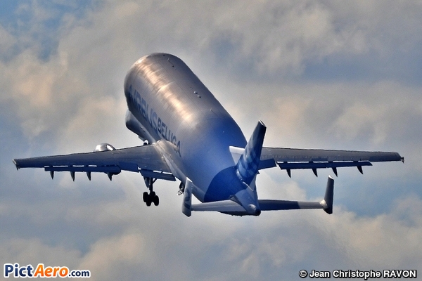 Airbus A300B4-608ST Super Transporter (Airbus Transport International) Airbus A300B4-608ST Super Transporter (Airbus Transport International)