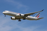 Airbus A350-941 (F-HUVJ) Airbus A350-941 (F-HUVJ)